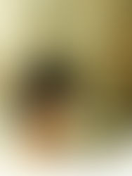 upcoming book adaptations