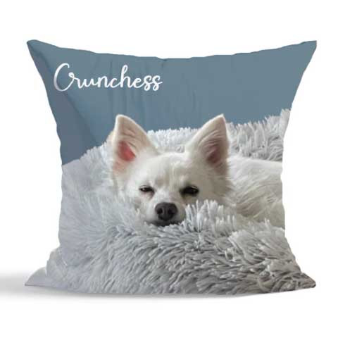 Thumbnail: Crunchess Pillow