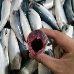 WhatsApp Image 2019-09-17 at 8.30.14 PM.jpeg