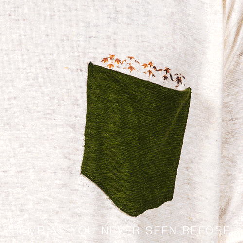 GIF_HIDDEN_NSTURE_01.gif