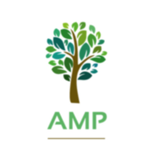 logo-amp.jpg