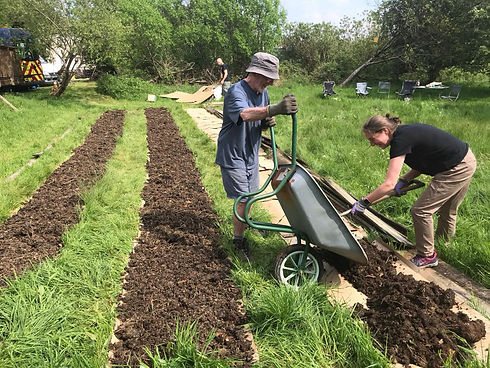 Grow food wheel barrow