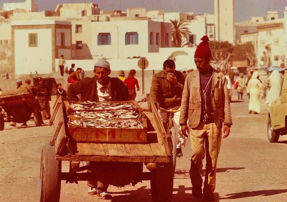 Fishermans catch Safi Morocco 1978