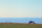 Couple on bench at seaside