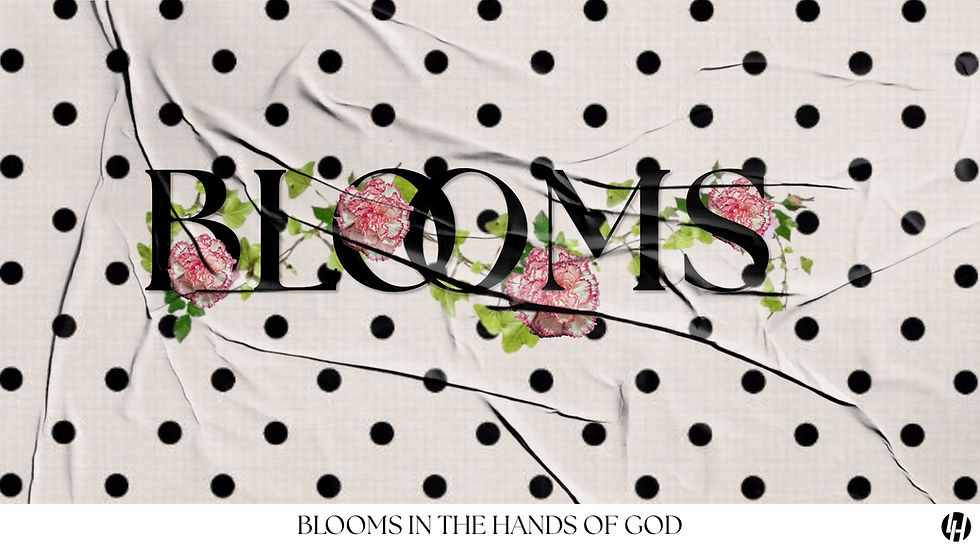 BLOOMS: Rooted & Radiant Conf