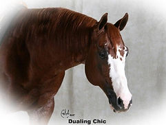Dualing Chic