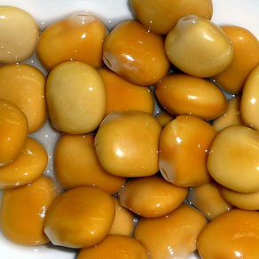 Lupin Beans | Mani Lakonia | The Versatile Legume with Roots from Ancient Greece