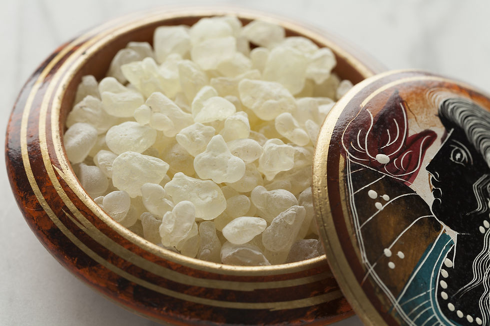 Mastic Gum | Shiny Greece