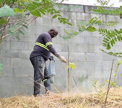 "Trabalhador realizando atividade de plantio ou manutenção ambiental próximo a um muro de concreto. 
