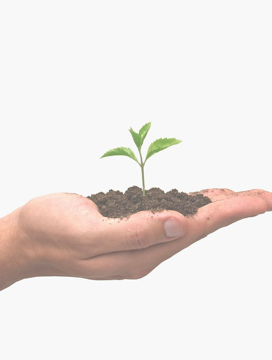 growth and nurture_edited.jpg