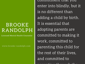 Consumer mentality in Adoption