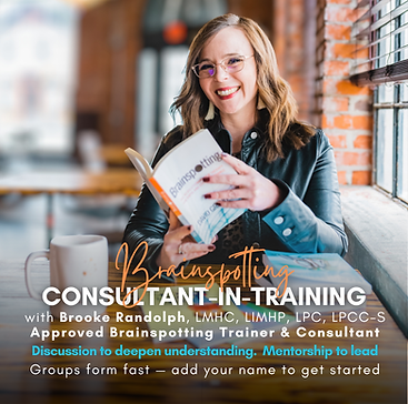 Brainspotting CIT consultant training group.png