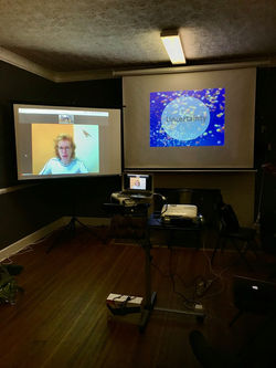 Brainspotting Kids training Monika Baumann virtual