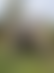 2025 Youth Deer Day Hunt