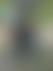 2025 Youth Turkey Hunt