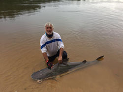 Pescaria de Trairão - Rio Juruena