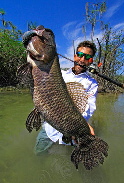 pescaria-de-trairão-suia-micu-14