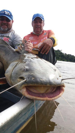 Pescaria de Trairão - Rio Juruena