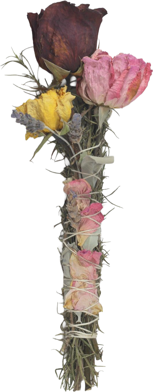 Dried Roses.png