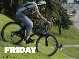 giphy.gif