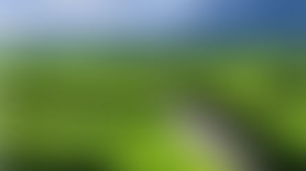 Digitalisaation tiekartta tarvitsee juuret