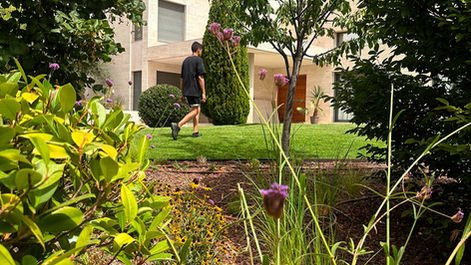 EMPRESA-PAISAJISMO-ARAVACA