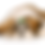 Thumbnail: #1 All Systems Products For Shih Tzu Grooming