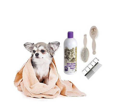 Dog Grooming Small Dog Boutique Top Dog Pet Mobile Grooming