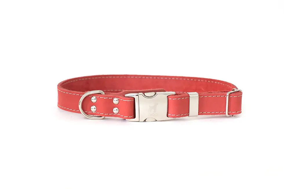 Thumbnail: Coral eather collar reinforced with sturdy European steel