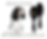 Thumbnail: #1 All Systems Ultimate Pin Brush For Cavalier King Charles Spaniel