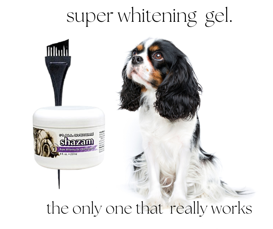 Thumbnail: #1 All Systems Shazam Super Whitening Gel For Cavalier King Charles Spaniel