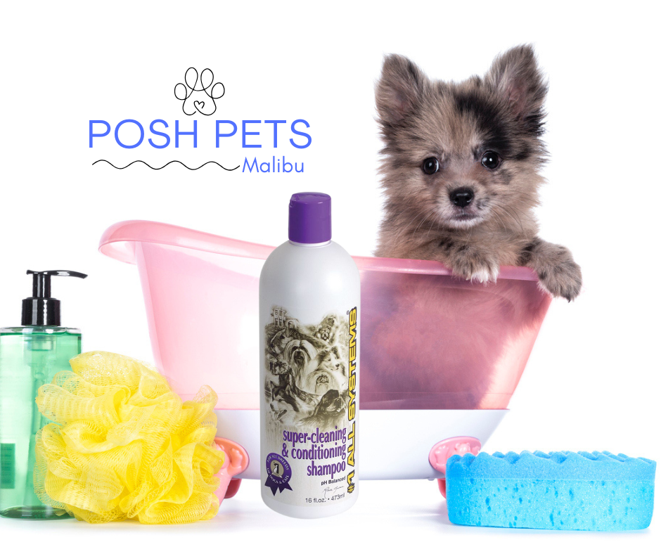 #1 All Systems Super Cleaning & Conditioning Shampoo is safe for all pets