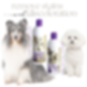 Your dog is going to look fabulous with #1 All Systems grooming products