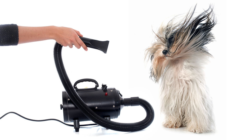 Here is equipment designed by leading USA manufacturers Metro and Midwest Grooming. Proven, built for you grooming in a shop or at home and built to last. Finish up your pet grooming tasks and groom like a pro.