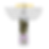 Thumbnail: Curated Whitening System For White & Light-Colored Coats