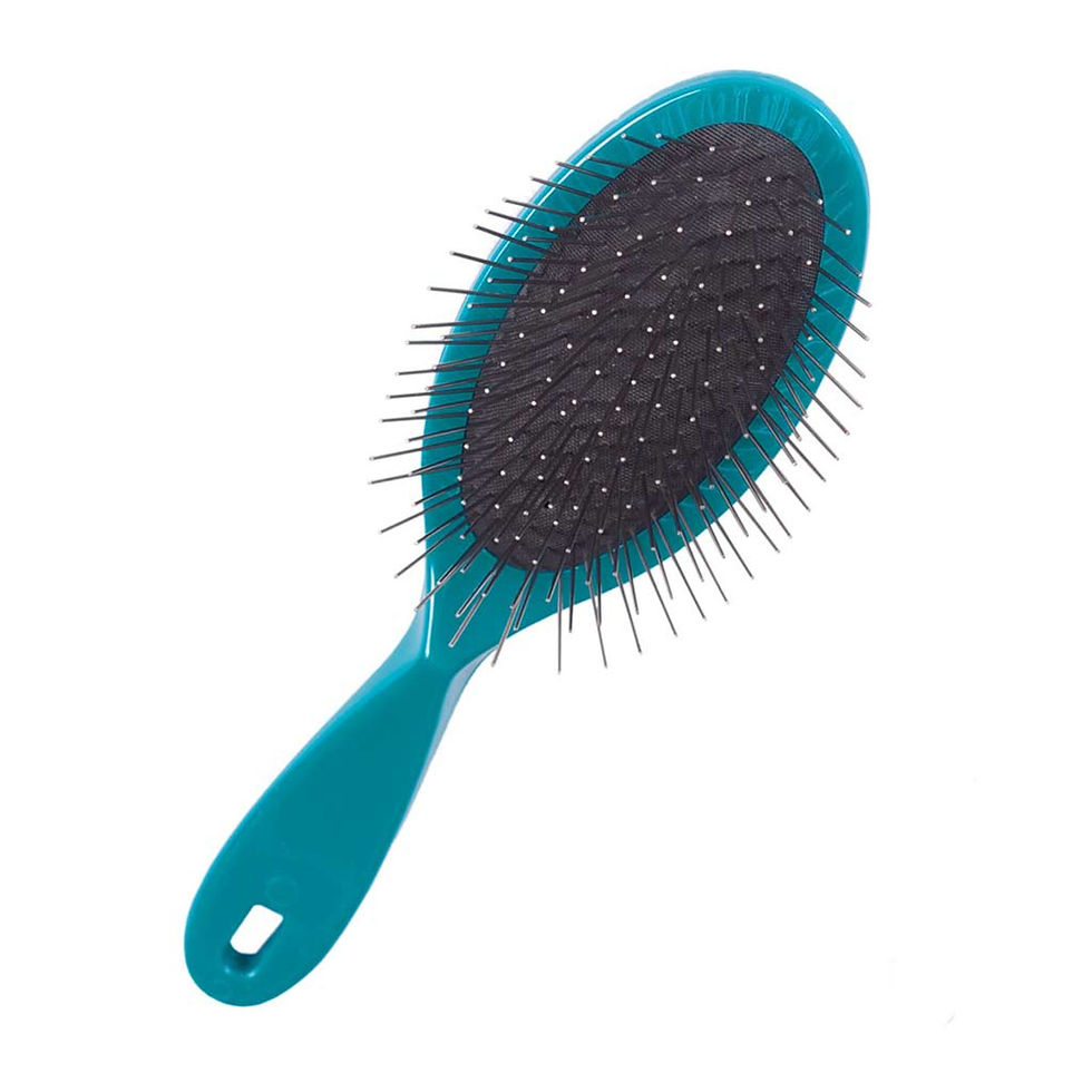 Thumbnail: #1 All Systems Pin Brush in Teal