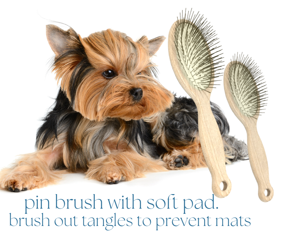 Thumbnail: Pin Brushes in Large and Small for your Yorkie