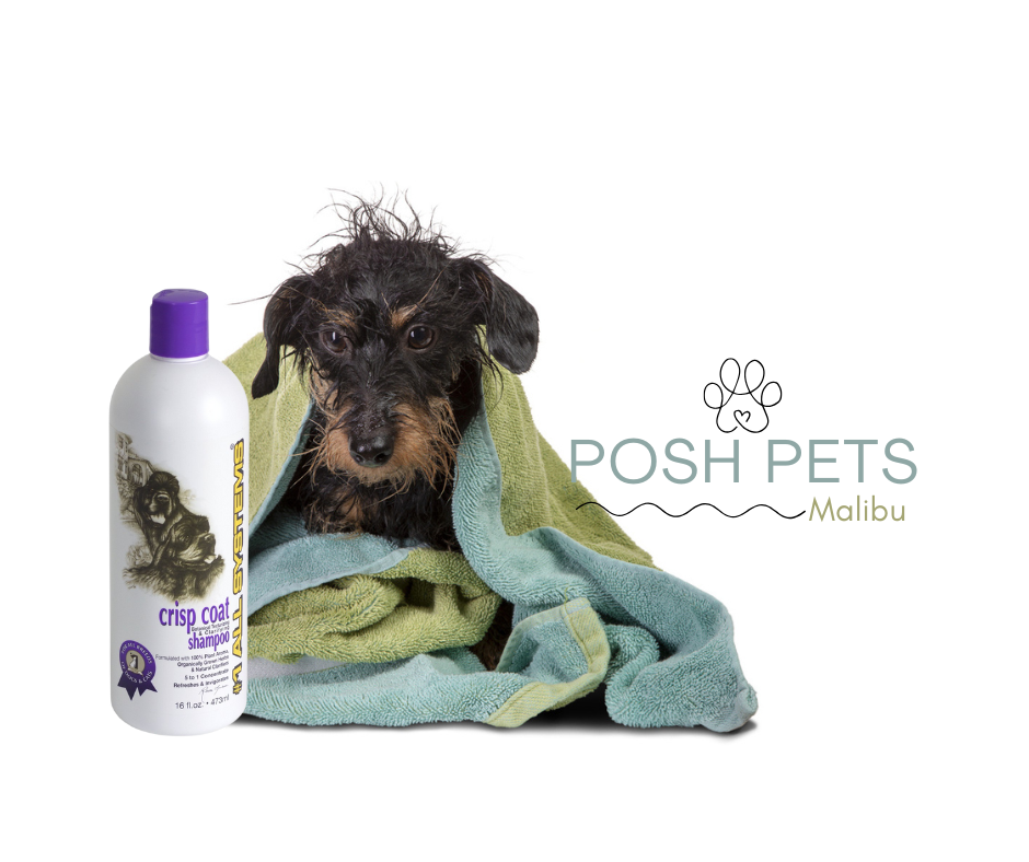 Crisp Coat Shampoo is at Posh Pets Malibu