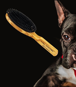 #1 All Systems has a perfect brush for every breed