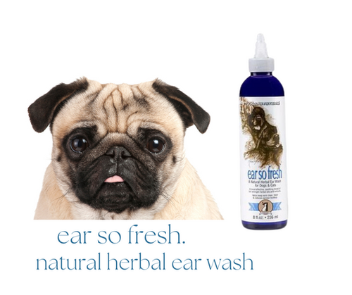 1 All Systems Products For Grooming Your Pug | all-systems