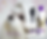 Thumbnail: Whitening Product Package for Maltese by #1 All Systems