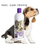 Thumbnail: #1 All Systems Super Cleaning & Conditioning Shampoo for short coats