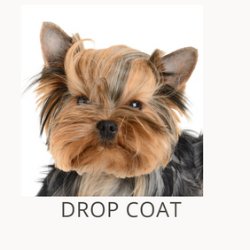 Long silky coats are DROP COATS such as the Yorkie coat.