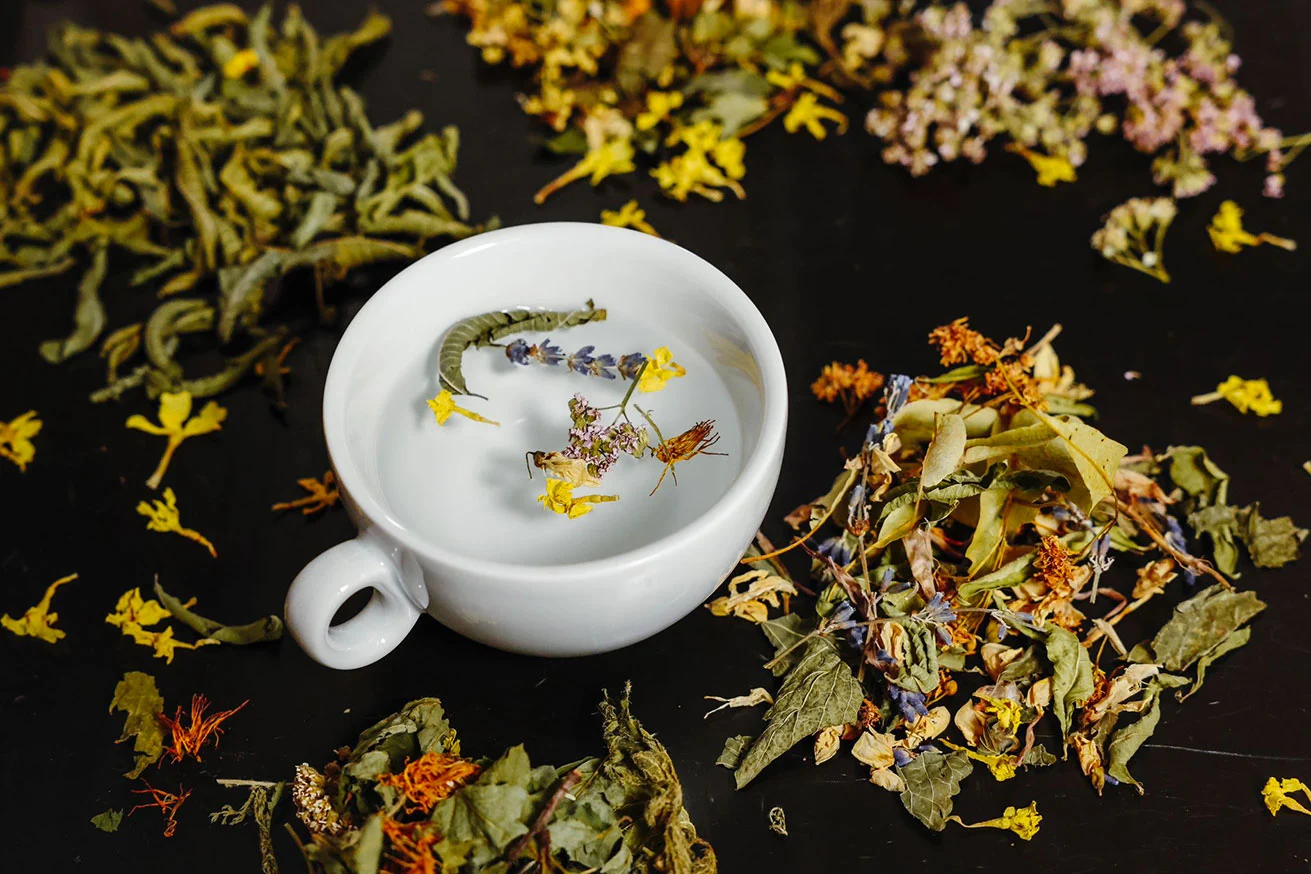 corsi_CN_erbe_spontanee_e_tisane.webp