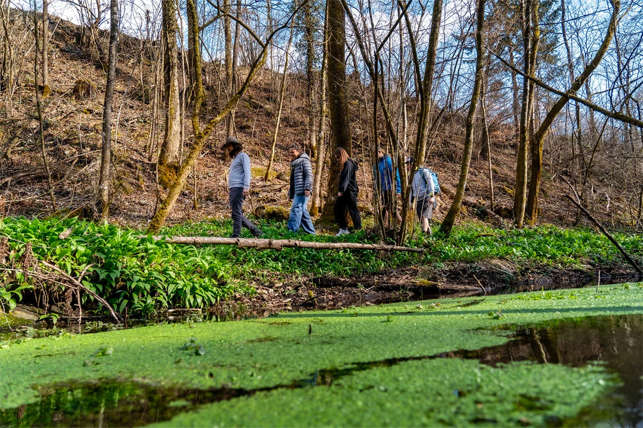 Brunch d’estate al fiume con passeggiata rilassante