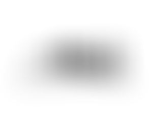 Homestead Reverie & Carolinian Echoes