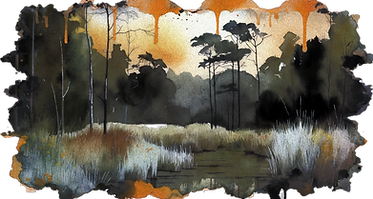 swamp3_edited_edited.png
