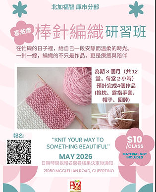 Cupertino Knitting Class