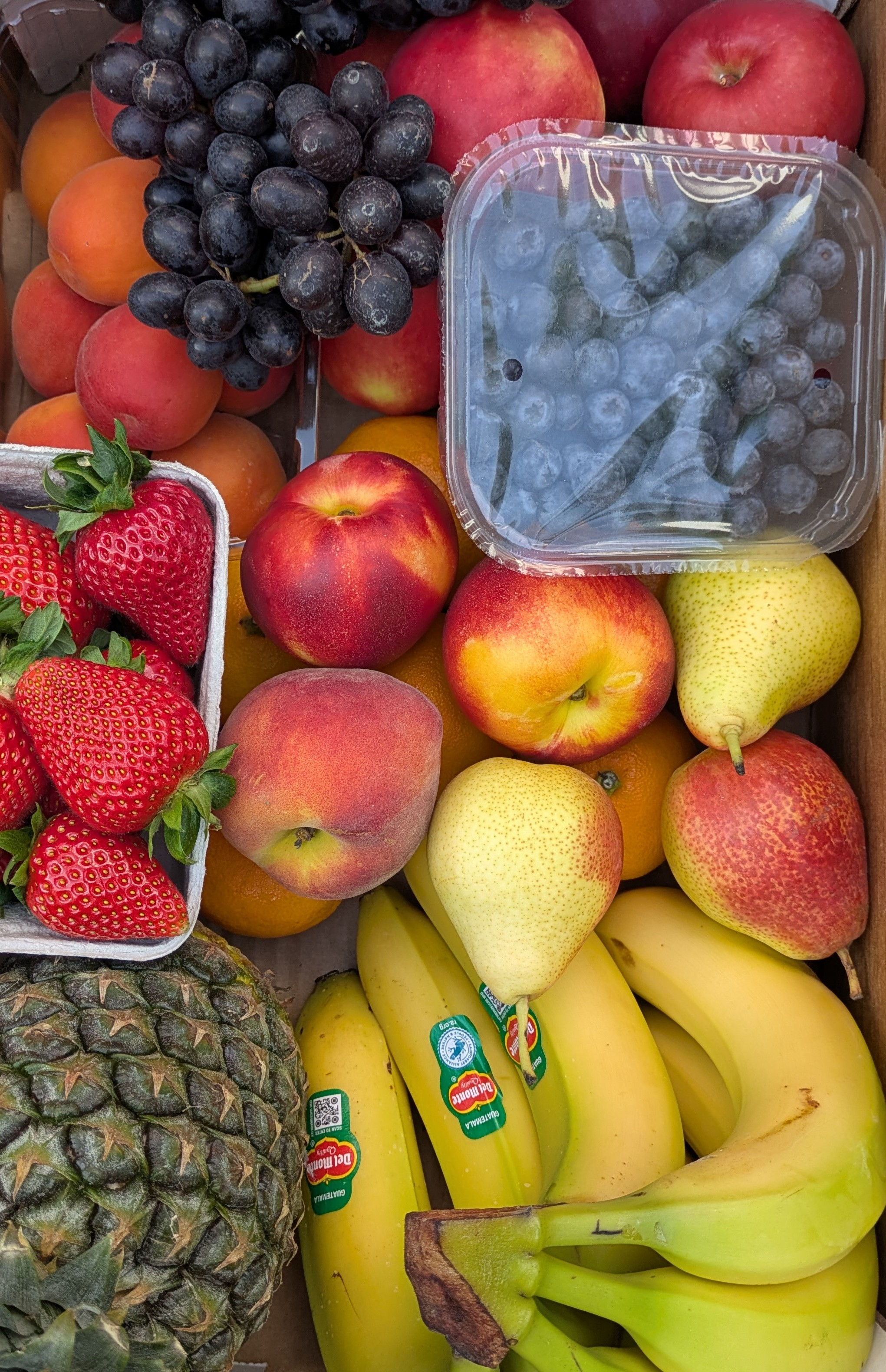 Family Fruit Box