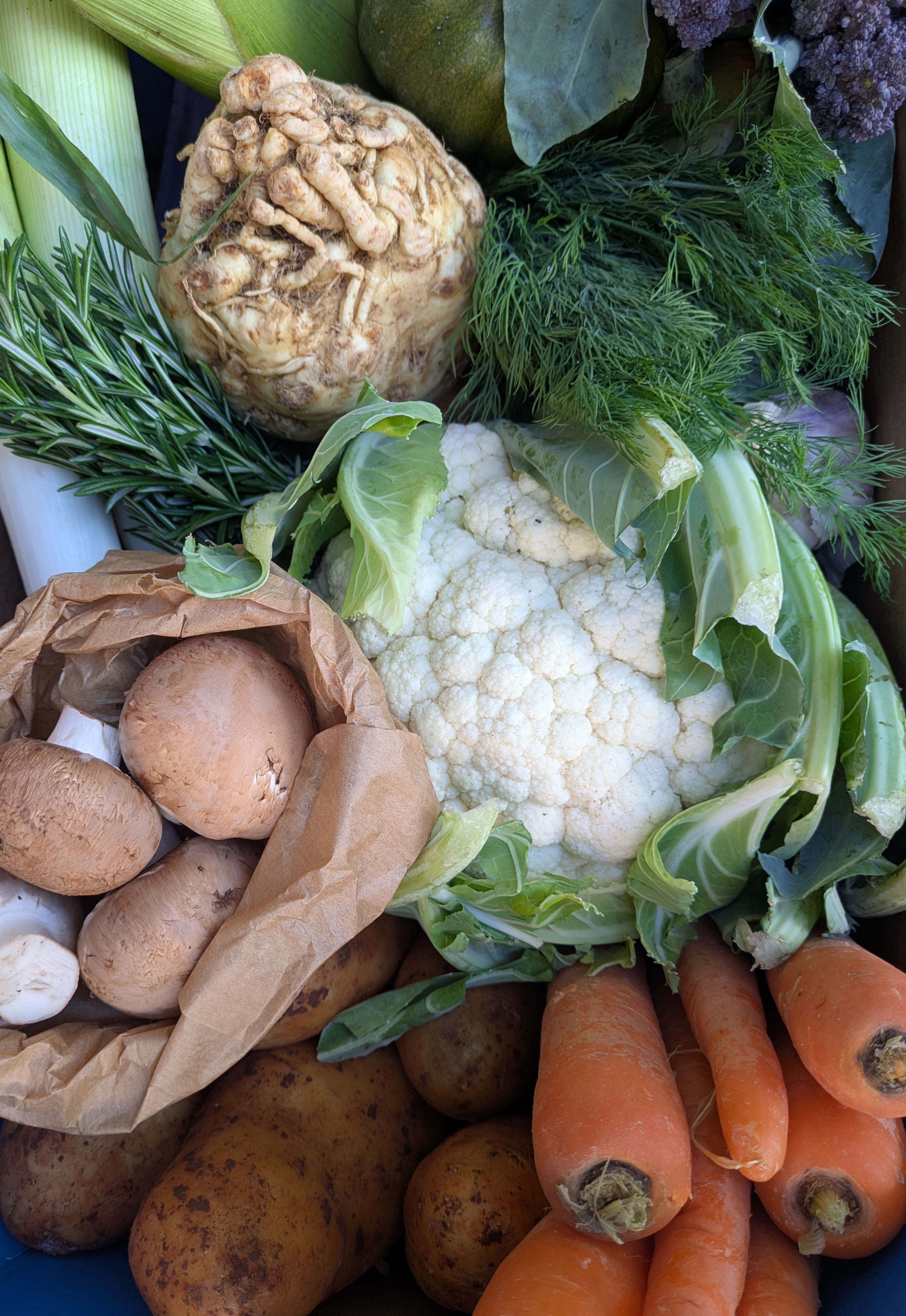 Just Veg Box